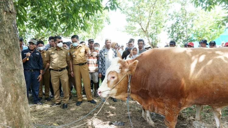 Bupati Bulukumba Temui Peternak di Kegiatan Terpadu Dinas Peternakan dan Kesehatan Hewan Kab. Bulukumba