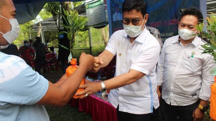 7000 Pohon Bibit Cengkeh Varietas Zanzibar dibagi ke Kelompok Tani