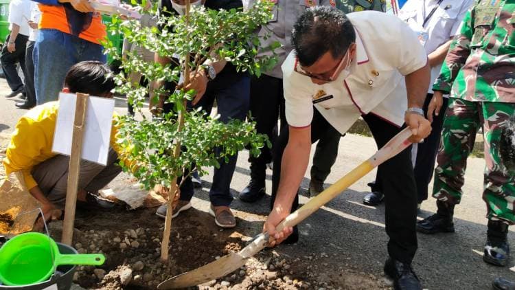 Bupati Bulukumba Pimpin Penanaman Pohon Pada Gerakan Penghijauan Turus Jalan