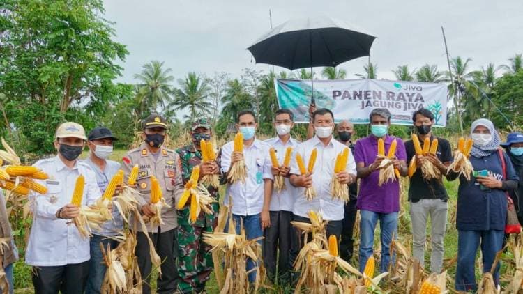 HADIRI PANEN RAYA JAGUNG, BUPATI ANDI UTTA BERUPAYA TINGKATKAN SARANA DAN PRASARANA PERTANIAN