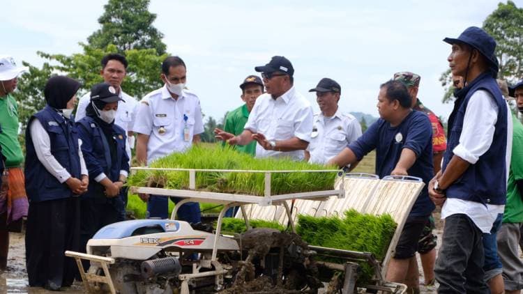 Gunakan Transplanter, Bupati Andi Utta Tanam Perdana Padi untuk Ujicoba Pupuk Hayati