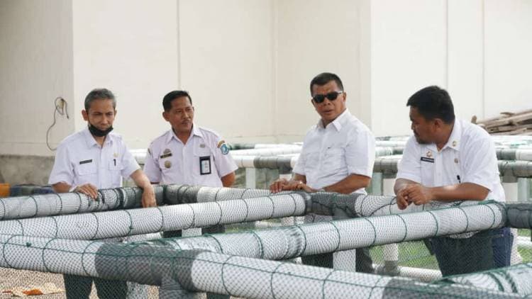 Bupati Andi Utta Serahkan Bantuan Rumpon dan Keramba Rumput Laut