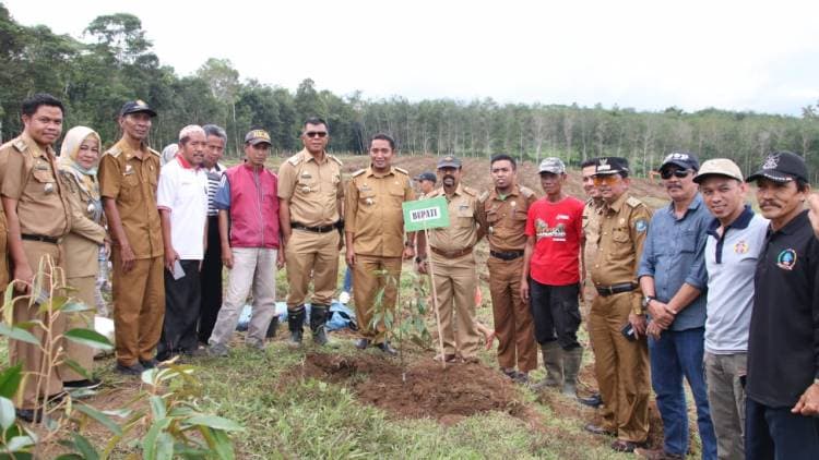 Andi Utta Buat Kebun Percontohan Bibit Unggul di Tibona