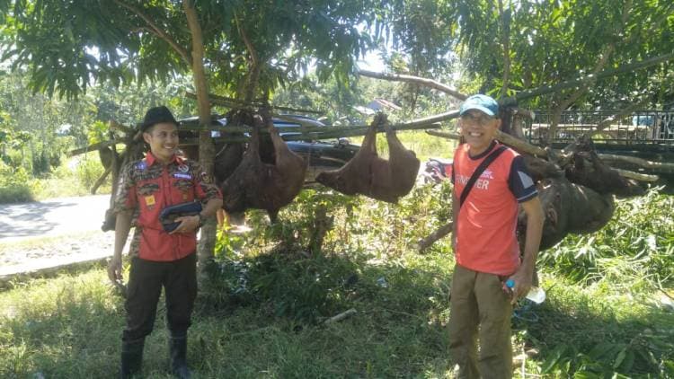Pasca Lebaran, Tim Pemburu Hama Babi Kembali Beraksi