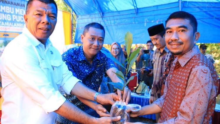 Bagikan Bibit Unggul, Andi Utta Harap Bulukumba Jadi Penghasil Jambu Mente Kualitas Ekspor