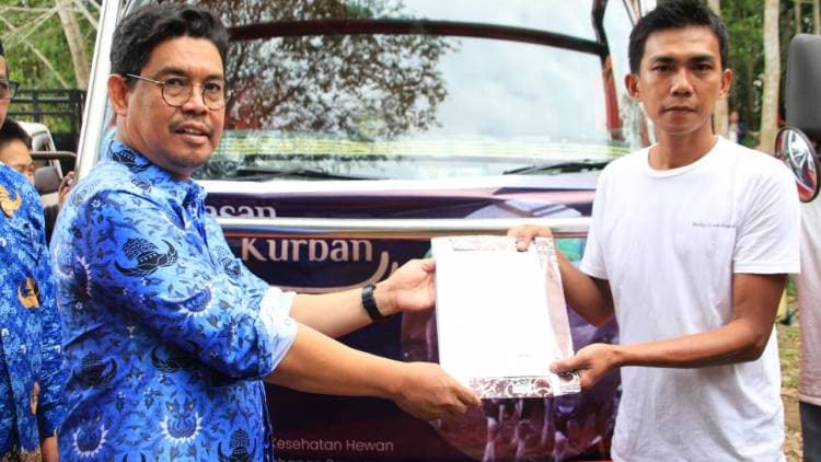 Bulukumba Jadi Daerah Pemasok Ternak Sapi, Wabup Lepas 46 Sapi Qurban ke Kalimantan