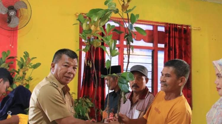 Serahkan Bibit Unggul di Dampang dan Benteng Gantarang, Andi Utta: Petani Harus Kaya