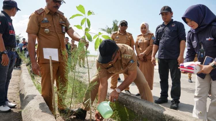 Peringati Hari Lingkungan Hidup, DLHK Tanam Pohon di Pantai Merpati