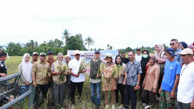 Awali Tahun 2025, Bupati Andi Utta, Panen Padi Salibu di Desa Bontoraja
