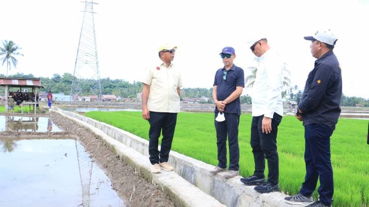 Pj Gubernur Prof Fadjry Djufry, Tinjau Bangunan Irigasi Pracetak