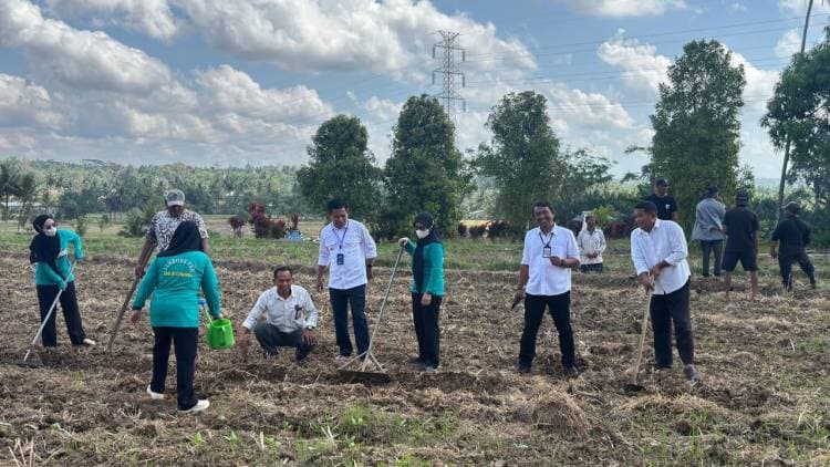 Camat Rilau Ale Luncurkan Mappideceng, Dorong Pertanian Ramah Lingkungan untuk Ketahanan Pangan