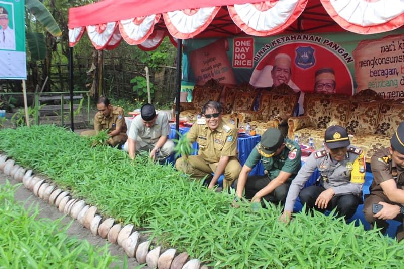 Dinas Ketahanan Pangan Kembangkan Desa Mandiri Pangan